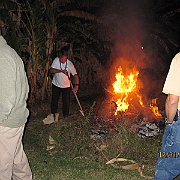 Picture 029